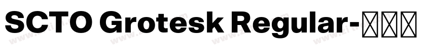 SCTO Grotesk Regular字体转换 SCTO Grotesk Regular字体转换